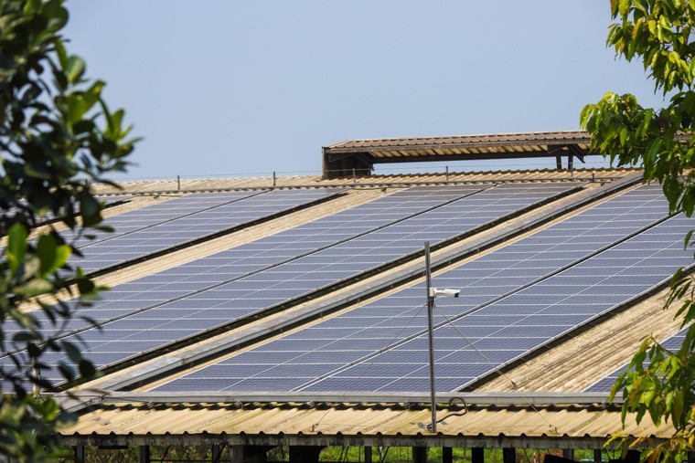 Có một con đường mà Tập đoàn TH đã chọn ảnh 2