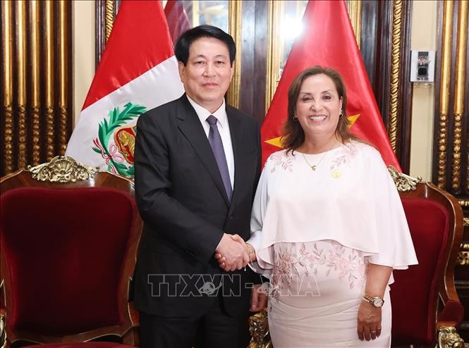 Chủ tịch nước Lương Cường hội đàm với Tổng thống Peru Dina Ercilia Boluarte Zegarra ảnh 2