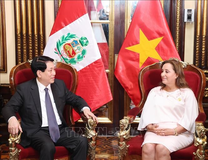 Chủ tịch nước Lương Cường hội đàm với Tổng thống Peru Dina Ercilia Boluarte Zegarra ảnh 3
