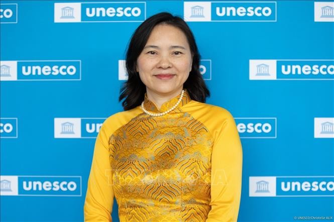 Việt Nam chờ đón năm 2025 với nhiều hoạt động tại UNESCO ảnh 3