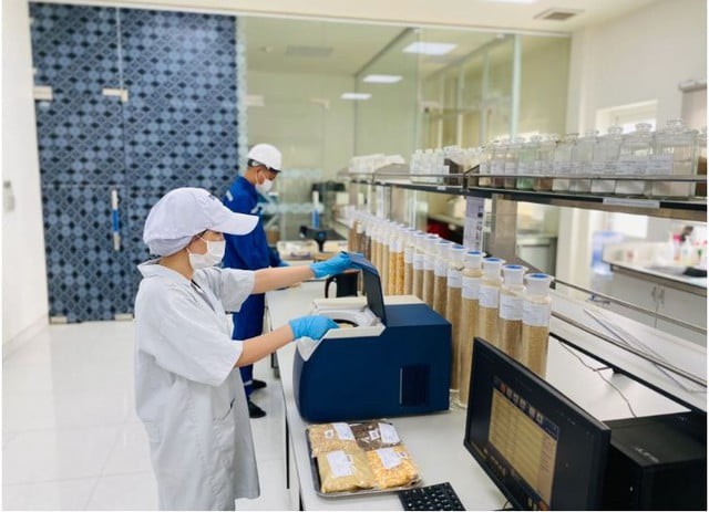 70.000 bò sữa được cho ăn thế nào để mang tới dòng sữa tươi sạch TH true MILK? ảnh 4