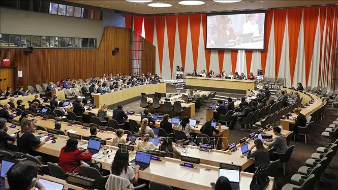 Việt Nam cam kết thúc đẩy bình đẳng giới tại Hội đồng Chấp hành UN Women ảnh 1