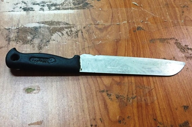 Người phụ nữ nghiện chém bị thương 4 bảo vệ dân phố ảnh 1