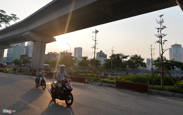 Hà Nội trồng cây dưới gầm đường sắt trên cao ảnh 5