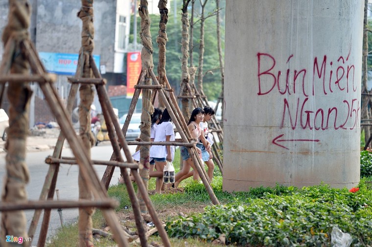 Hà Nội trồng cây dưới gầm đường sắt trên cao ảnh 7