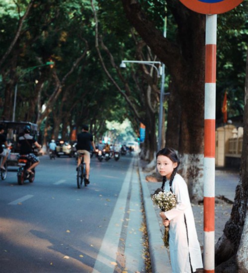 Bé gái mặc áo dài chụp ảnh cùng cúc họa mi ảnh 2