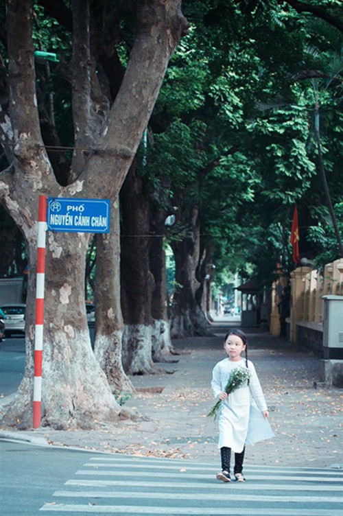 Bé gái mặc áo dài chụp ảnh cùng cúc họa mi ảnh 4