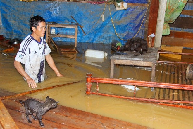 Nghìn người ở Hà Tĩnh chui mái nhà chờ nước rút ảnh 4