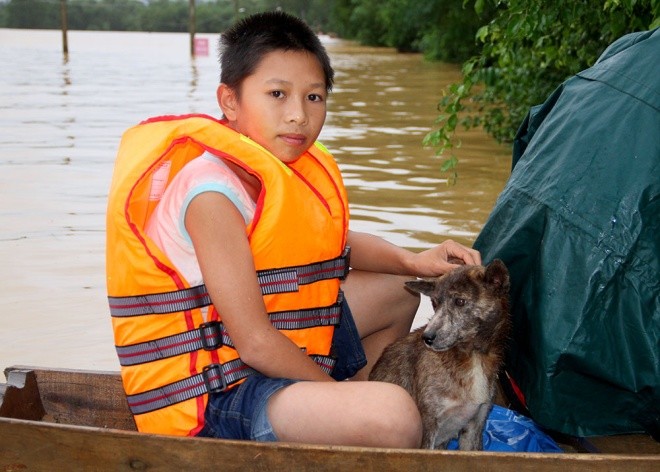 Nghìn người ở Hà Tĩnh chui mái nhà chờ nước rút ảnh 6