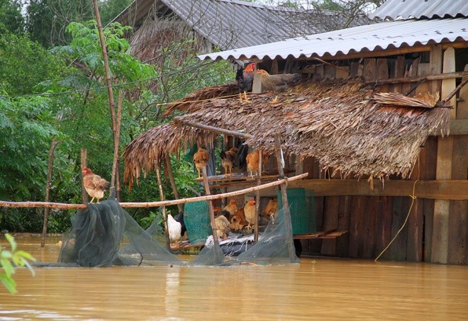 Nghìn người ở Hà Tĩnh chui mái nhà chờ nước rút ảnh 5