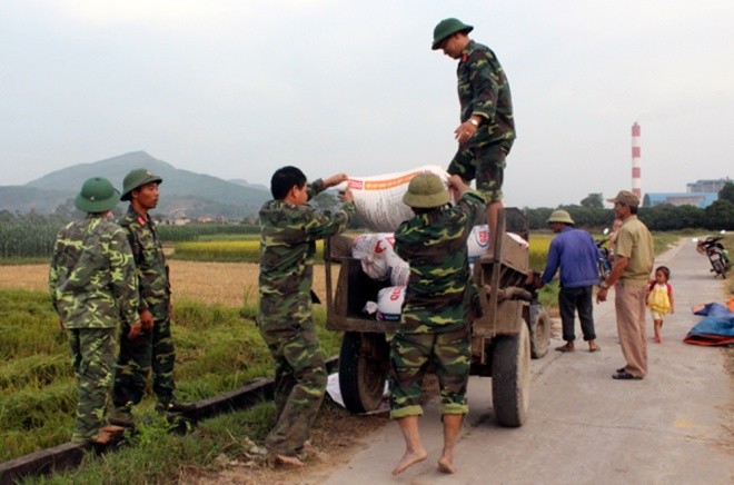 Dân Quảng Ninh chằng nhà, gặt lúa chạy đua với bão ảnh 8