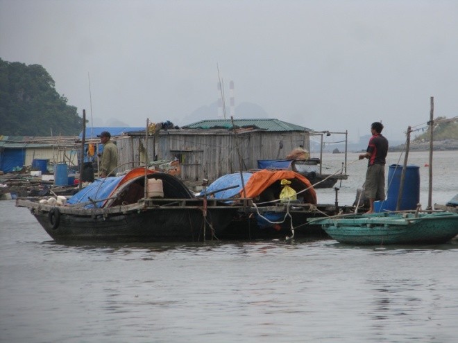 Dân Quảng Ninh chằng nhà, gặt lúa chạy đua với bão ảnh 2