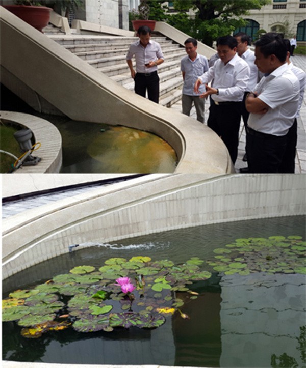 Hà Nội thử nghiệm chế phẩm đặc biệt 'giải cứu' hồ ô nhiễm ảnh 1