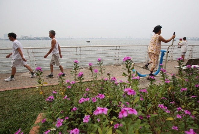 Hồ Tây sau 10 ngày cá chết hàng loạt ảnh 7