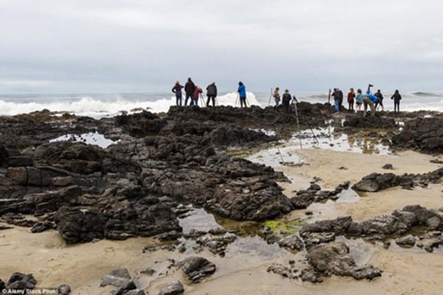 Giếng địa ngục an toàn trên biển ở Mỹ ảnh 5