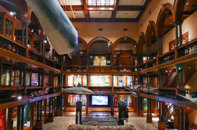 Top 10 Bảo tàng Khoa học Mỹ do độc giả USA Today bình chọn ảnh 4