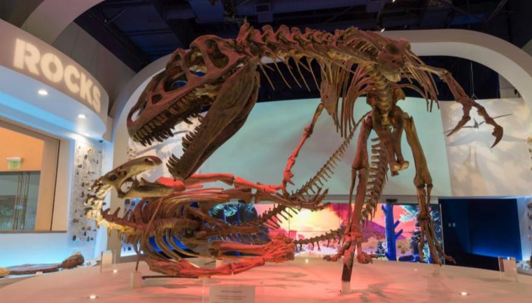 Top 10 Bảo tàng Khoa học Mỹ do độc giả USA Today bình chọn ảnh 2