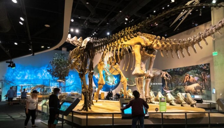 Top 10 Bảo tàng Khoa học Mỹ do độc giả USA Today bình chọn ảnh 3