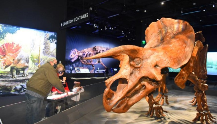 Top 10 Bảo tàng Khoa học Mỹ do độc giả USA Today bình chọn ảnh 5