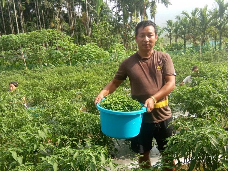 Bhutan: Hành trình ‘cay’ để bảo tồn hương vị ớt ảnh 2