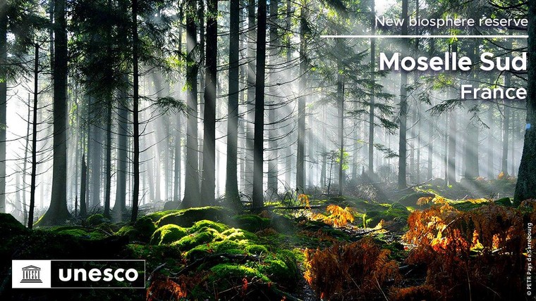 20 Khu dự trữ sinh quyển thế giới vừa được UNESCO công nhận - Phần 1 ảnh 6