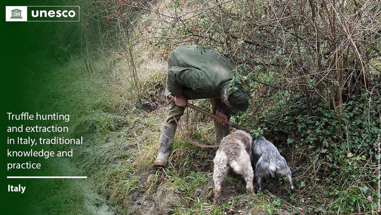43 Di sản Văn hóa Phi vật thể mới được UNESCO công nhận (Phần cuối) ảnh 3