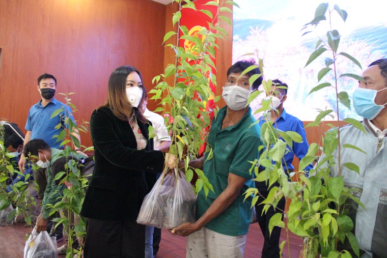 Phủ hồng đồi xanh - Chiến dịch trồng 2000 cây hoa và mai anh đào tại Khánh Sơn ảnh 3