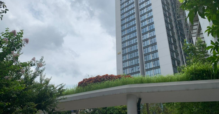 Trải nghiệm Toà nhà xanh Liên Hợp Quốc ảnh 5