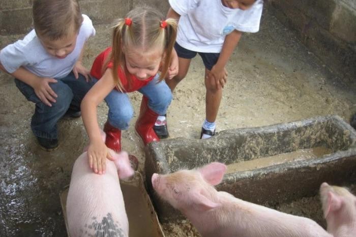 Thiên nhiên là ‘giáo viên’ giàu kinh nghiệm nhất tại trường San Francisco ở Costa Rica ảnh 1