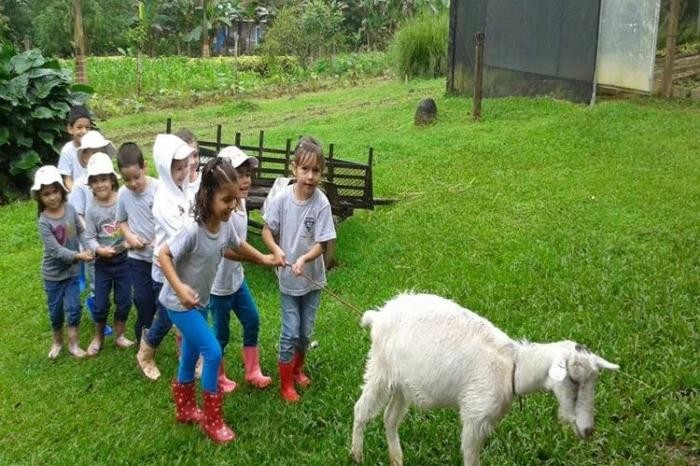 Thiên nhiên là ‘giáo viên’ giàu kinh nghiệm nhất tại trường San Francisco ở Costa Rica ảnh 2