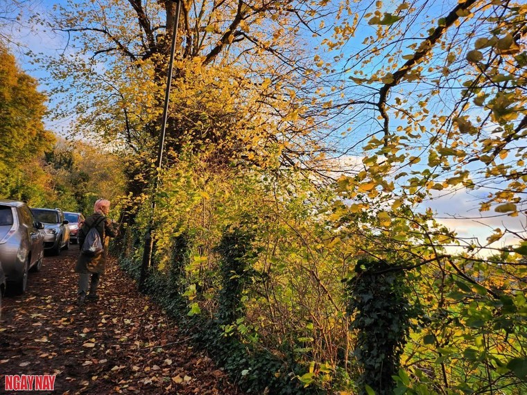 Vẻ cổ kính mộng mơ của Bath, thành phố di sản thế giới tại Anh quốc ảnh 19