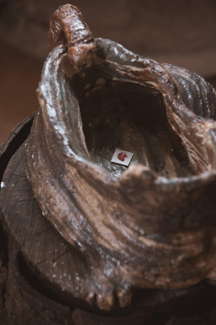 Triển lãm 'Linh thú' đón chào Quý Mão 2023 ảnh 12