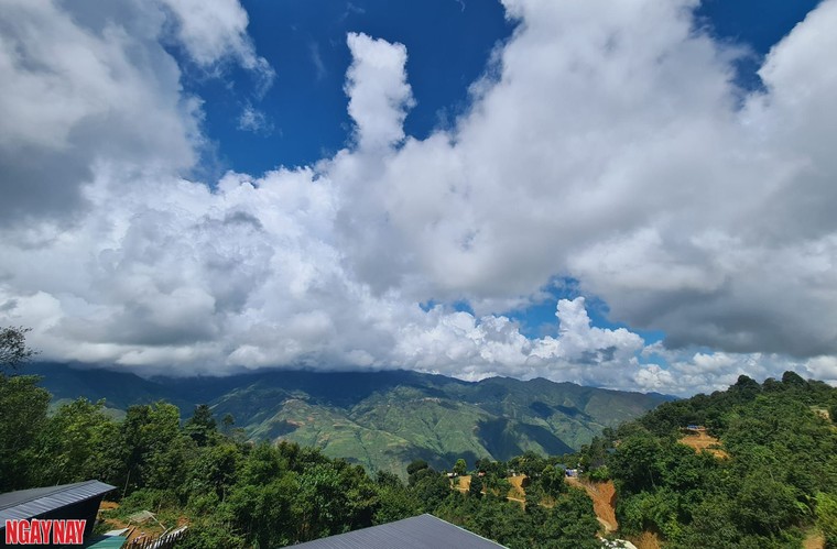 Hương trà thoáng trong mây ảnh 1