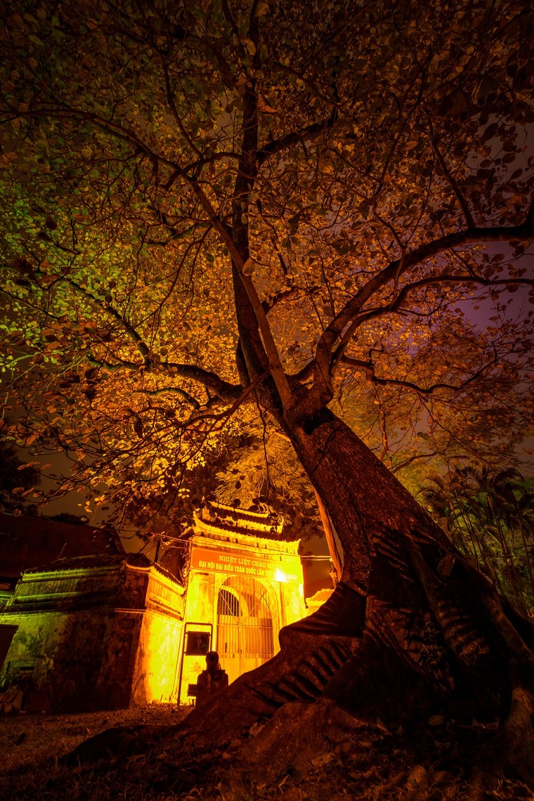 UNESCO công bố 32 tác phẩm dự thi nổi bật cuộc thi Nhiếp ảnh sáng tạo Hà Nội Rethink - Phần 4 ảnh 3