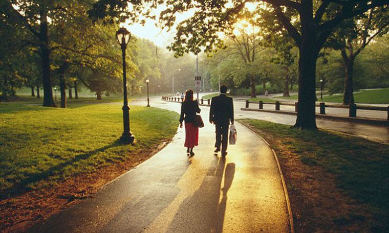 Một chuyến đi dạo, một cuộc chuyện trò ảnh 1