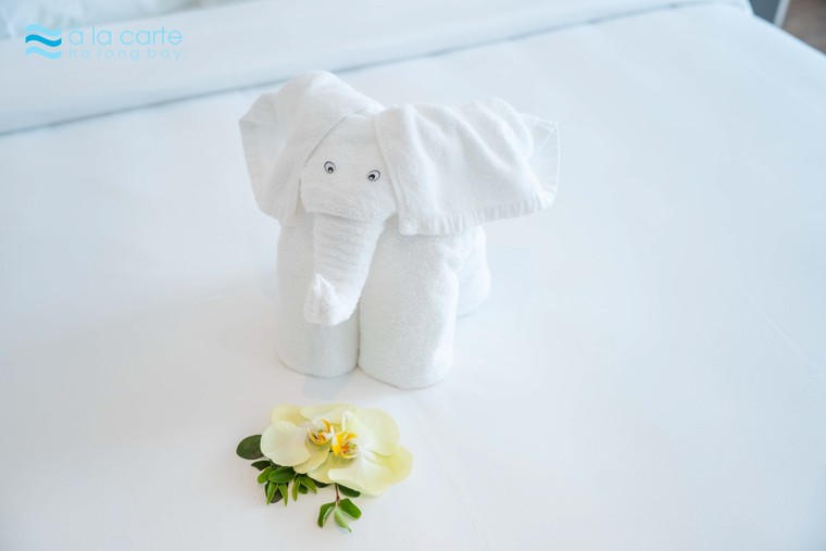 Ấn tượng À la Carte: "Kỳ quan nhân tạo" cao nhất Vịnh Hạ Long ảnh 8