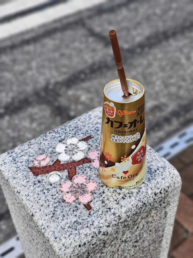 Tham quan gì khi có 10 tiếng quá cảnh ở Narita ảnh 13