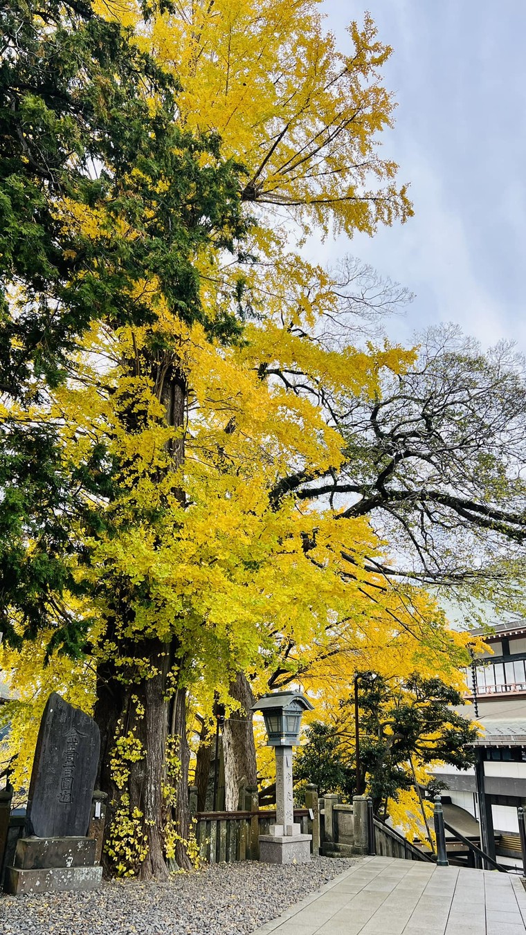 Tham quan gì khi có 10 tiếng quá cảnh ở Narita ảnh 4