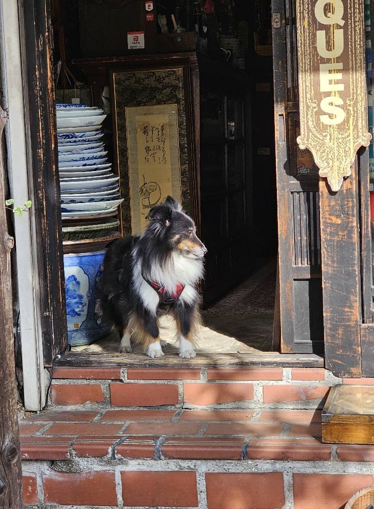 Tham quan gì khi có 10 tiếng quá cảnh ở Narita ảnh 12