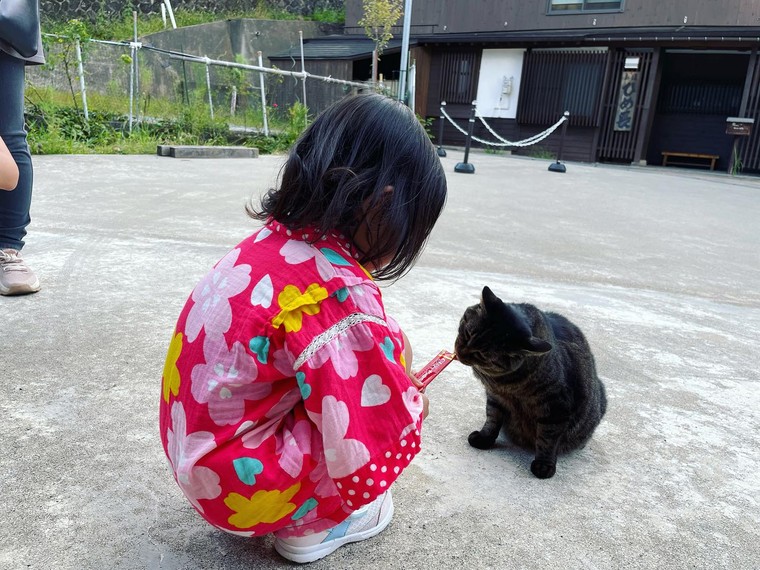 Nozawa Onsen: nơi những “nhân viên mèo” sẽ chăm sóc bạn bằng sự dễ thương và hiếu khách ảnh 2