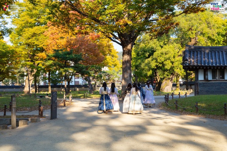 Jeonju - Thành phố đầu tiên được UNESCO công nhận ở Hàn Quốc ảnh 4