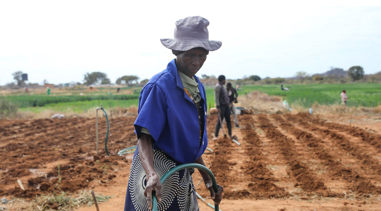 Trao quyền nhiều hơn cho phụ nữ làm nông nghiệp ảnh 1