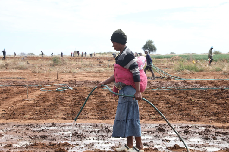 Trao quyền nhiều hơn cho phụ nữ làm nông nghiệp ảnh 2