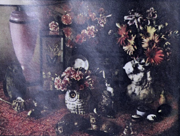 Những cây đèn Tiffany trong ngôi nhà của nhà văn Mỹ Truman Garcia Capote ảnh 4