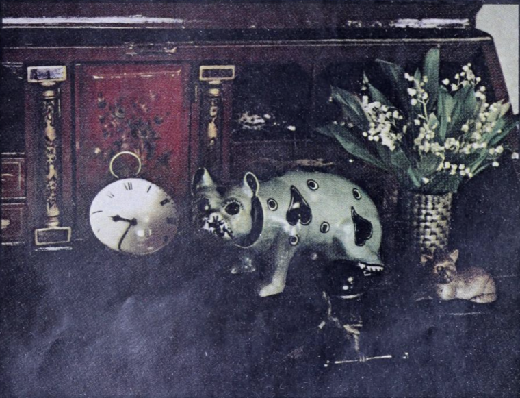 Những cây đèn Tiffany trong ngôi nhà của nhà văn Mỹ Truman Garcia Capote ảnh 5