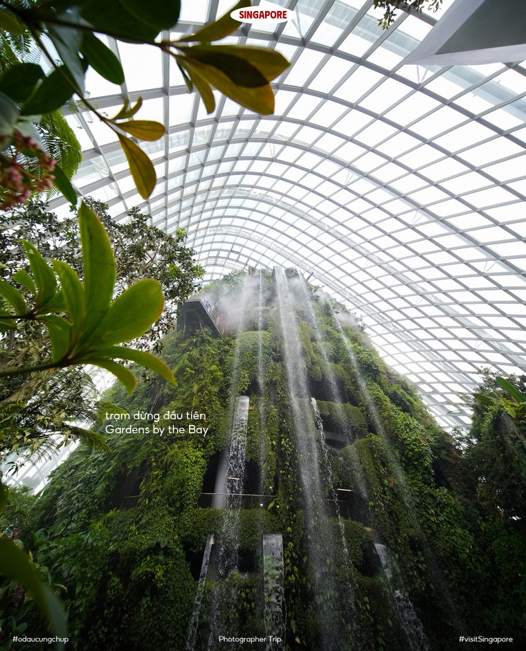 Khám phá Singapore qua lăng kính sáng tạo: Gợi ý cho bộ ảnh mùa hè độc đáo ảnh 5