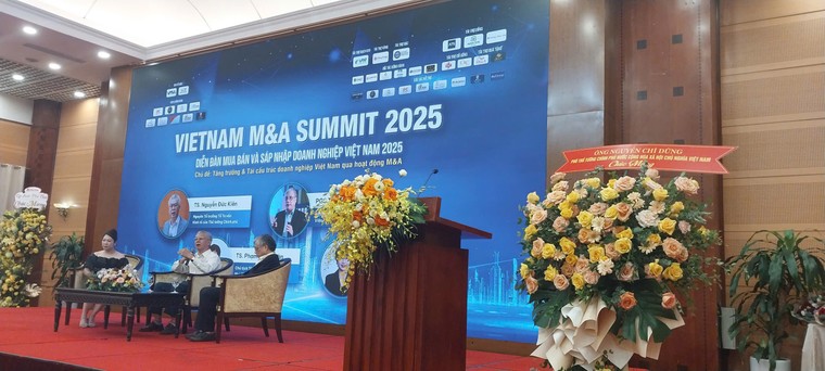 M&A SUMMIT 2025: Cơ hội và thách thức cho doanh nghiệp Việt trong kỷ nguyên tái cấu trúc ảnh 1