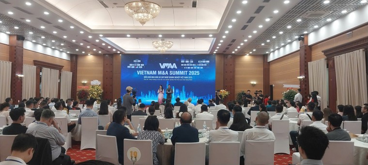 Vietnam M&A Summit 2025: VPR cam kết Tài trợ thương mại không hoàn lại và Hợp tác kinh doanh đa ngành ảnh 4