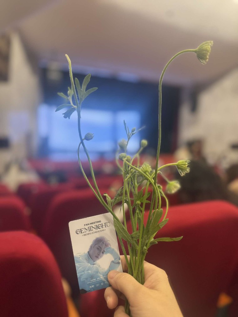 Geminight lung linh: Hùng Huỳnh tái hợp người hâm mộ tại Hà Nội ảnh 9