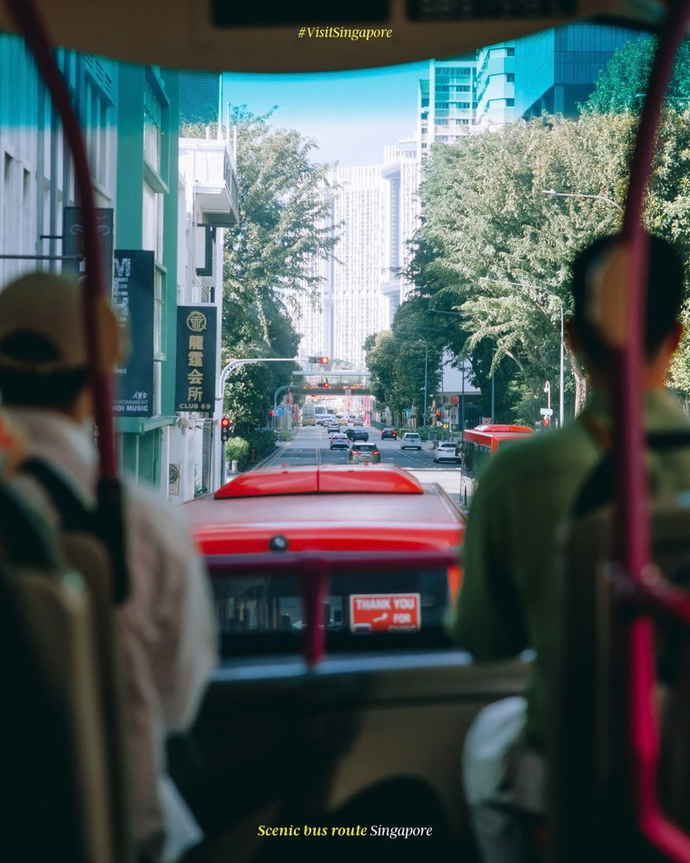 Chiêm ngưỡng vẻ đẹp thơ mộng của singapore dọc theo các tuyến xe buýt ảnh 1